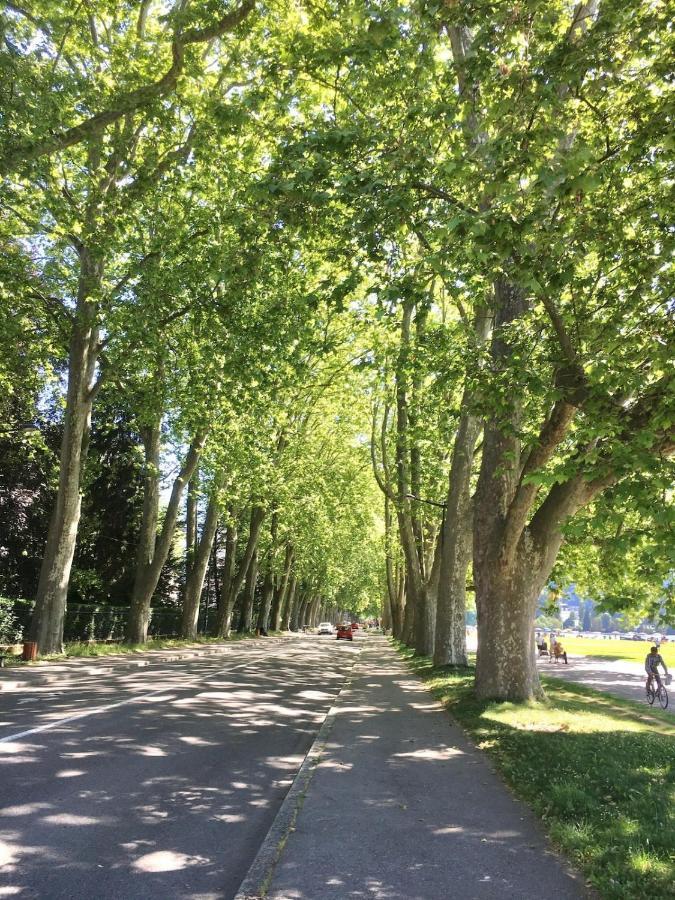 Annecy Center 2 Steps From The Lake Cozy And Renovated! Eksteriør billede